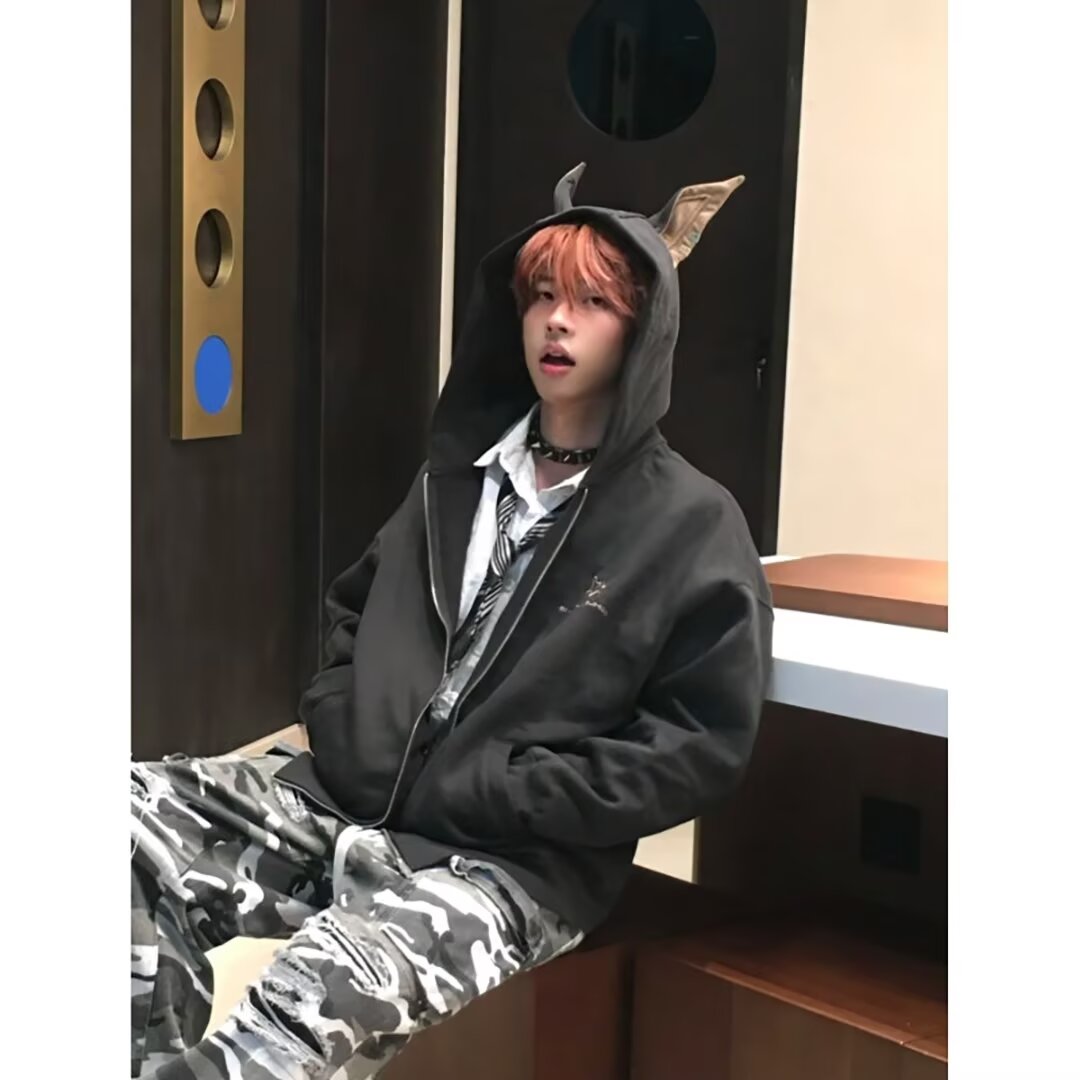 Reckless Doberman hooded sweatshirt men's autumn and winter trendy brand handsome loose couple cardigan jacket